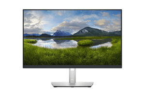 Dell P2422H